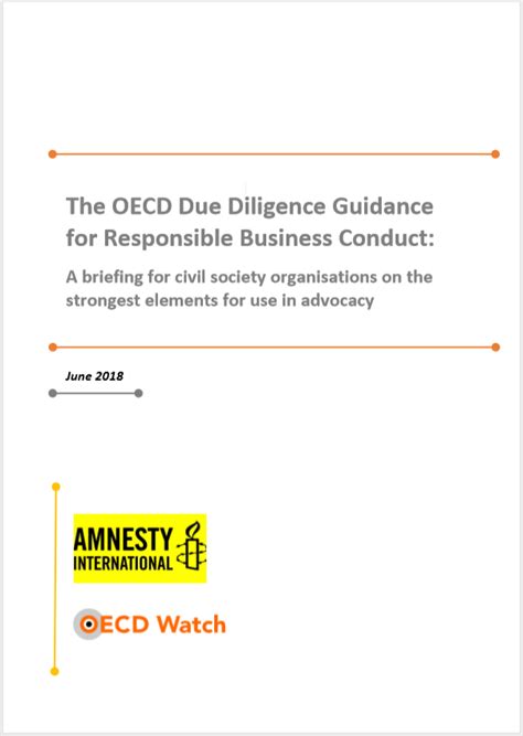 The Oecd Due Diligence Guidance For Responsible Business Conduct Oecd