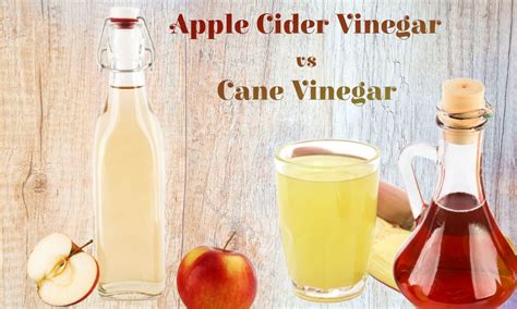 Apple Cider Vinegar Vs Cane Vinegar The Coconut Mama