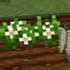 Pams HarvestCraft 2 Crops Mod Minecraft MC Wiki