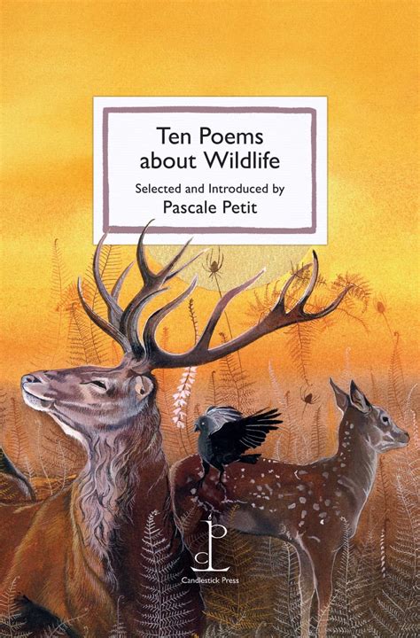 Ten Poems About Wildlife Instead Of A Card Poetry Pamphlets