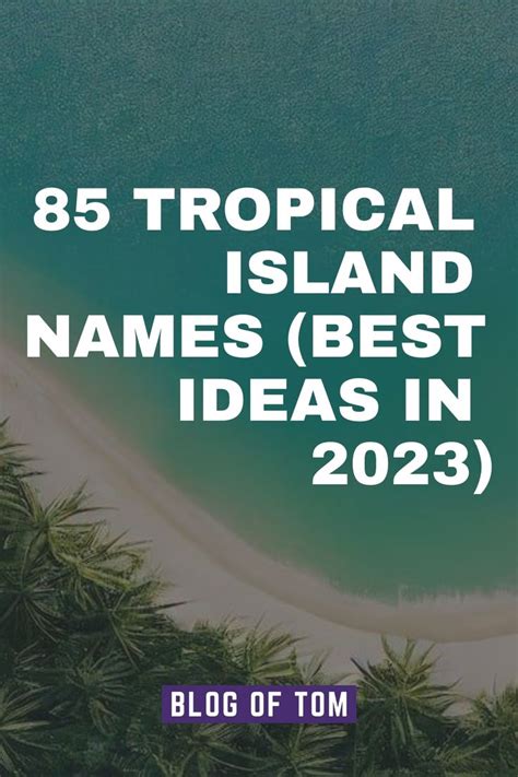 Palm Trees With The Words Tropical Island Names Best Ideas In