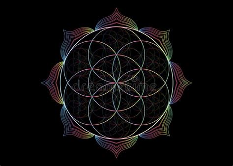 Fiore Di Seme Dell Icona Del Loto Vitale Yantra Mandala Sacro Dello