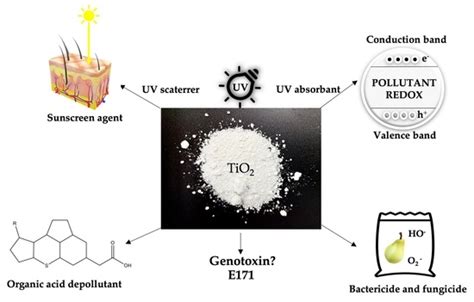 Ijerph Free Full Text Titanium Dioxide Structure Impact And Toxicity