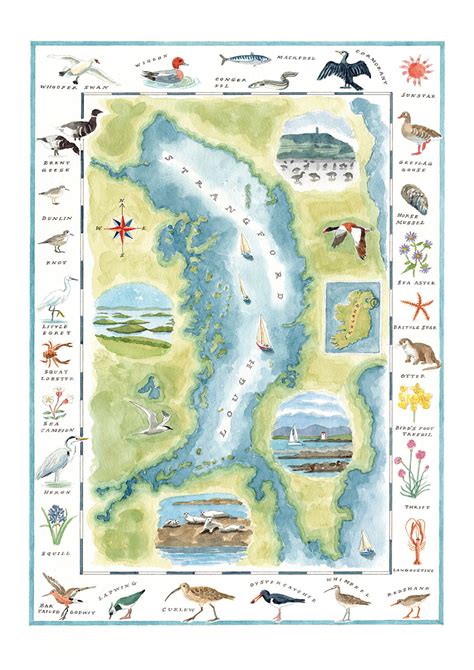 Strangford Lough Wildlife Map Map Print Curlew Cottage Design