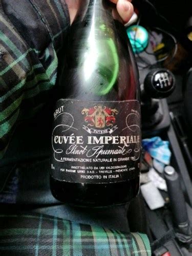 Livio Pavese Cuv E Imperiale Pinot Spumante Brut Vivino Us