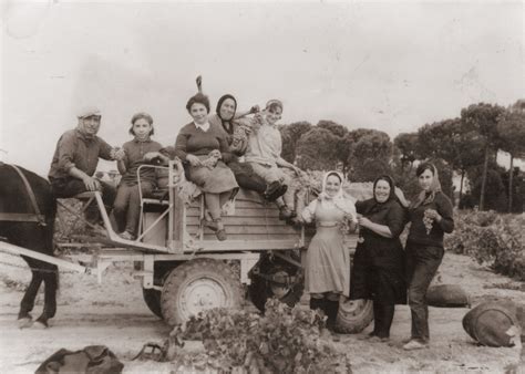 En La Vendimia El Provencio Cuenca Fondo Los Legados De La Tierra