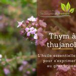 Fiche solution phyto 39 Huile essentielle de Thym à Thujanol