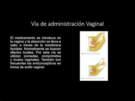 Tecnología Farmacéutica Vías de administración RECTAL Y VAGINAL