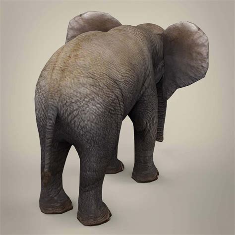 Baby Elephant 3d Model By Treeworld3d