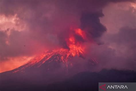 Zona Bahaya Gunung Lewotobi Laki Laki Diperluas Aktivitas Vulkanik