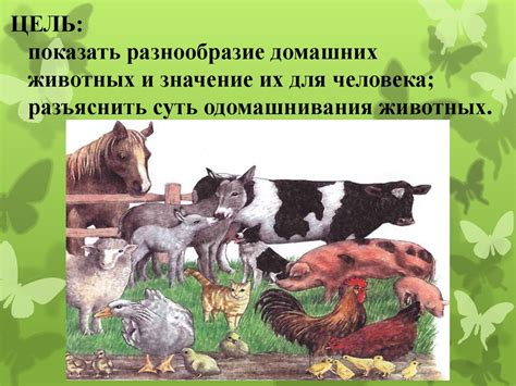 Домашние животные - презентация онлайн
