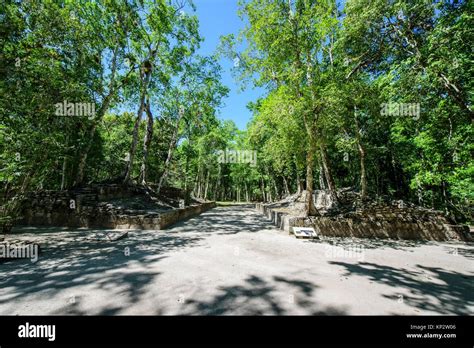 Structure at Mayan city of Calakmul, Calakmul Biosphere Reserve, Campeche, Mexico Stock Photo ...