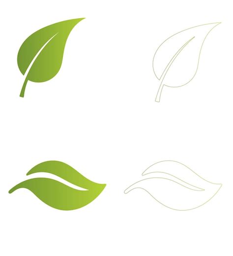 Premium Vector Leafs