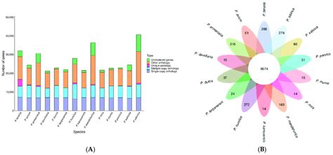 Number of homologous genes in the species and gene family clustering ...