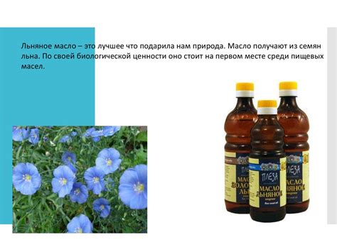 Виды растительного масла в питании - презентация онлайн
