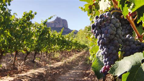 Spanish Wine Tour 10 Days