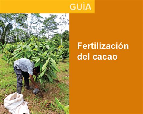 Fertilizaci N Del Cacao Biodiversidad En Paisajes Productivos