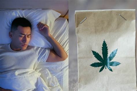 Best Indica Strains For Sleep Top Picks For A Restful Night