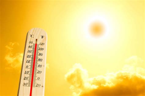 Summer Survival Guide Staying Safe And Sane In The Heat Corporate