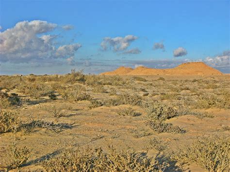 Landscapes Of Morocco To Western Sahara Stock Image Image Of Desert