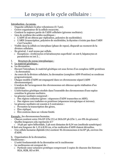 Le Noyau Et Le Cycle Cellulaire Organite Cellulaire Le Plus