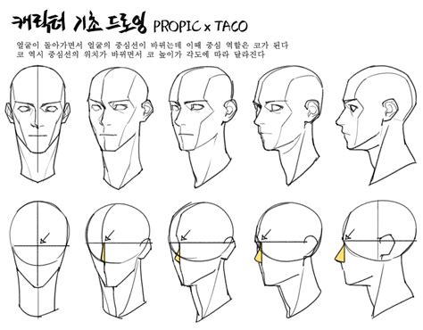 타코작가 On Twitter 해부학 예술 드로잉 강좌 그리기 튜토리얼