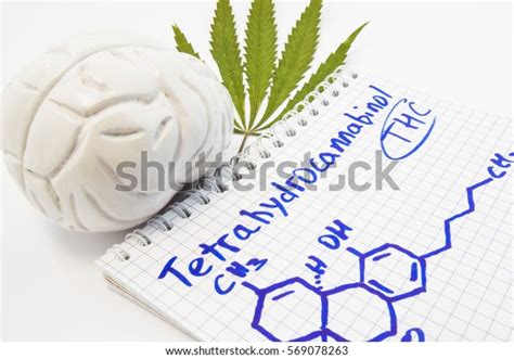 Effects Action Tetrahydrocannabinol Thc On Human Stock Photo (Edit Now ...