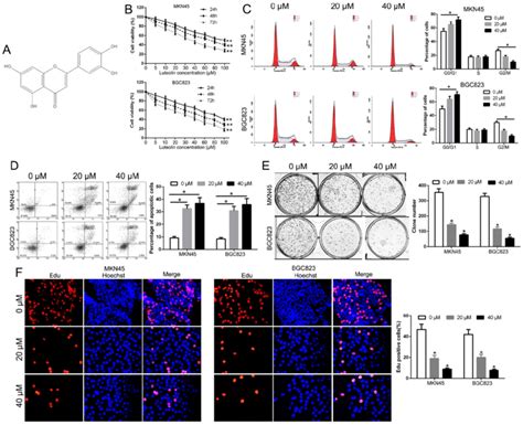 Effect Of Luteolin On Cell Viability Cell Cycle Apoptosis Colony