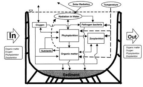 Suivi Et Mod Lisation Des Dynamiques Des R Servoirs Multi Ressources