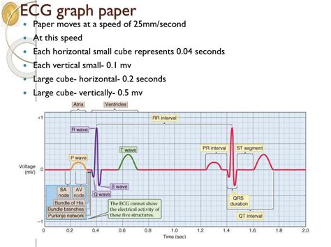 ECG Graph