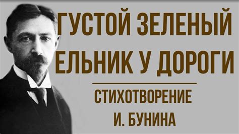«Густой зеленый ельник у дороги» И. Бунин. Анализ стихотворения - YouTube