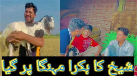 Sheikh Ka Chori Ka Bakra Samar Gorsi Youtube