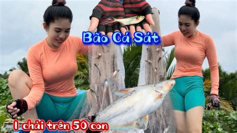 Bất ngờ 1 chài dính hơn 50 con cá sát chài cá trên sông Vàm Cỏ Khía