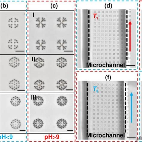 Complex Petal Like Microstructures Fabricated By Femtosecond Laser Dual