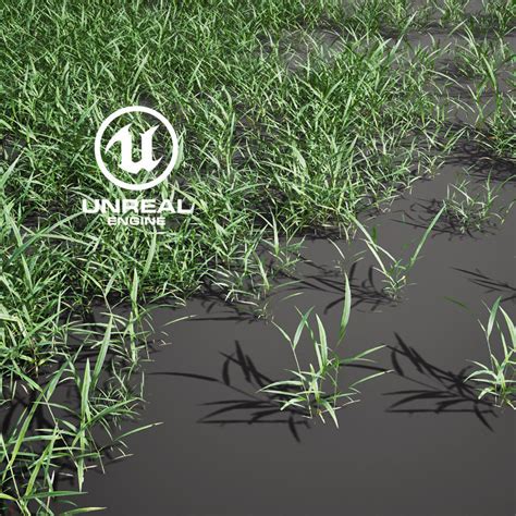 3d Model Realistic Grass 11 Ue4 Asset And Fbx Files Vr Ar Low Poly Animated Cgtrader