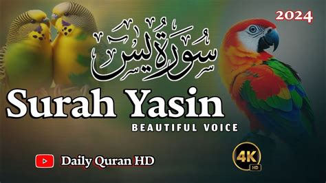 Surah Yasin Yaseen Relaxing heart touching voiceسورہ یسن 36 Ep06