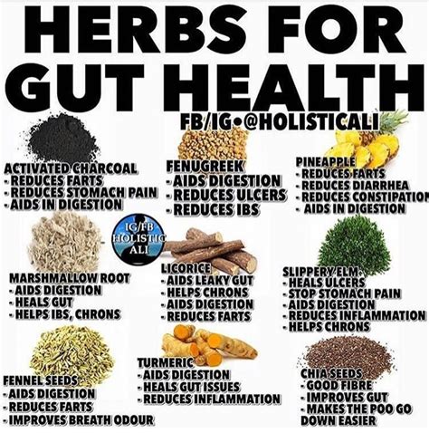 Herbs For Gut Health Gut Health Herbs For Health Coconut Health Benefits