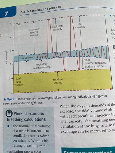 Measuring The Process Flashcards Quizlet