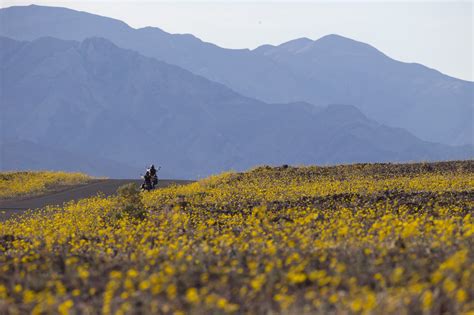 L equinozio di primavera è oggi Il Post