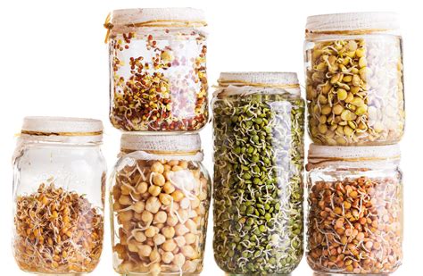 Are Sprouted Grains More Nutritious Than Regular Whole Grains