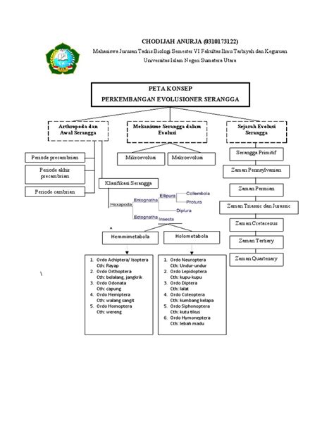 PETA KONSEP I (Perkembangan Evolusioner Serangga) | PDF