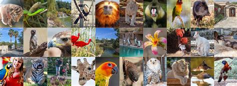 Pafos Zoo - Z&X Car Rentals