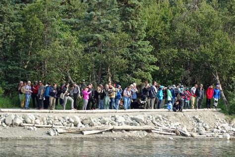 Brooks Falls (Katmai National Park and Preserve, AK): Top Tips Before ...