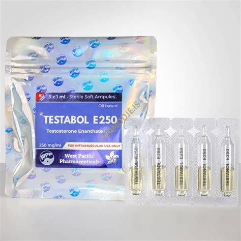 Testabol E250 WPP Testosterone Enanthate 2024 Prix