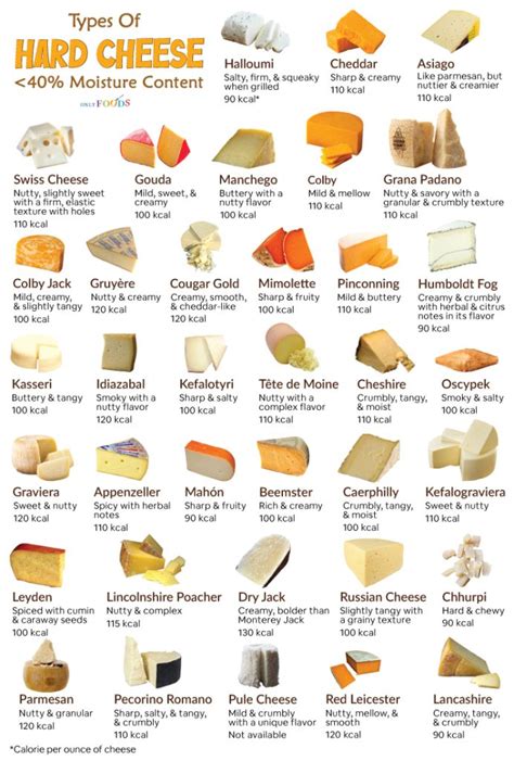 List Of The Types Of Hard Cheese With Pictures