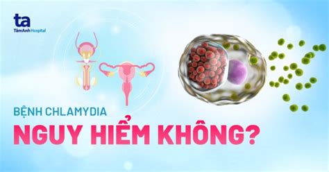 Chlamydia Có Nguy Hiểm Không 6 Biến Chứng Nghiêm Trọng