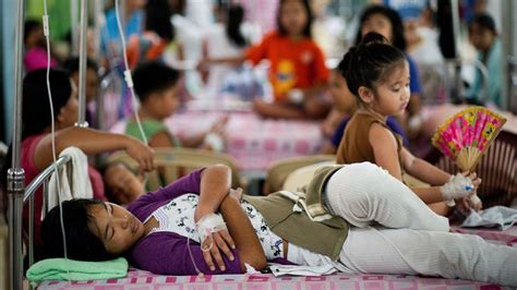 Dengue Fever Philippines On National Alert After 456 Die From Illness