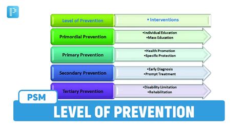 Prevention Strategies Levels Of Prevention Prepladder