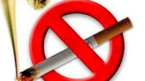 Salud Limita Los Productos De Tabaco Calentado Y Promueve La Cesaci N