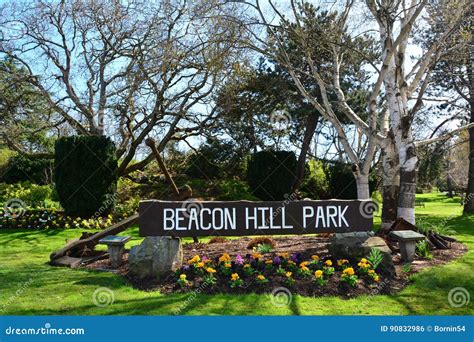 Beacon Hill Park In Victoria Bccanada Editorial Photo Image Of